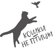 Кошки не птицы