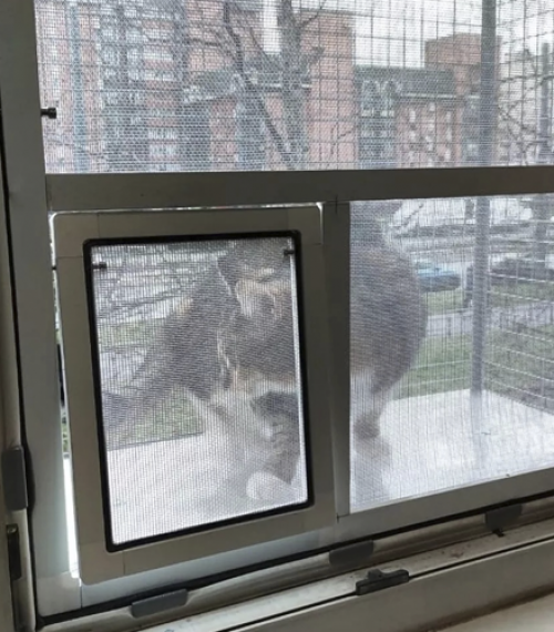 Москитная сетка с дверкой для любого балкончика.