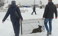 Фотография изделия №1.